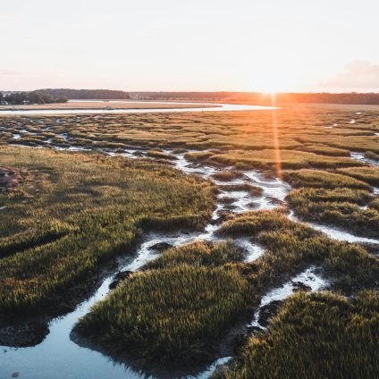 Rinnovabili • EPA Wetlands Proposal: Changes to Federal Clean Water Act Protections