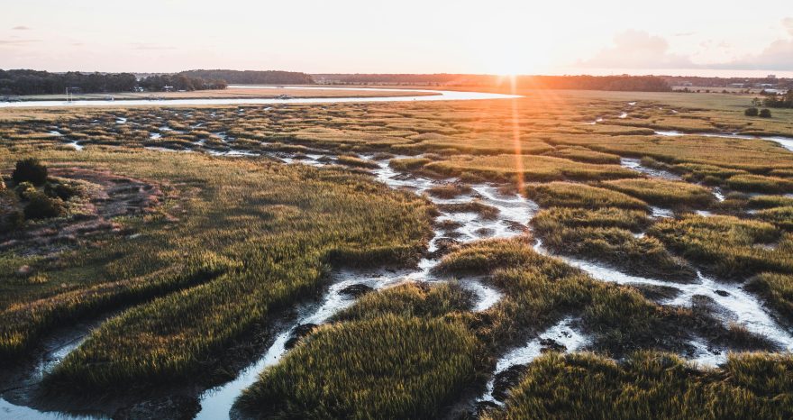 Rinnovabili • EPA Wetlands Proposal: Changes to Federal Clean Water Act Protections