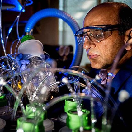 Rinnovabili • Biodegradable electronics and hidden environmental impacts