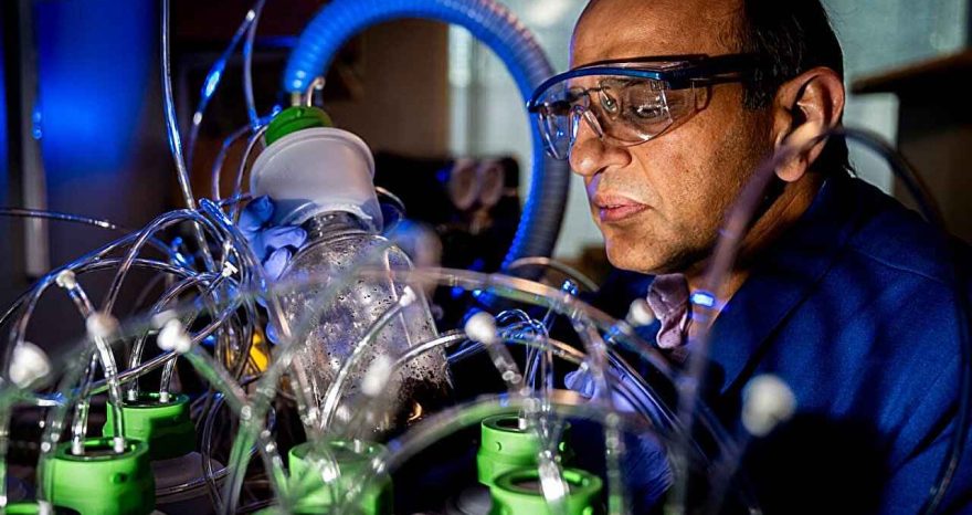 Rinnovabili • Biodegradable electronics and hidden environmental impacts