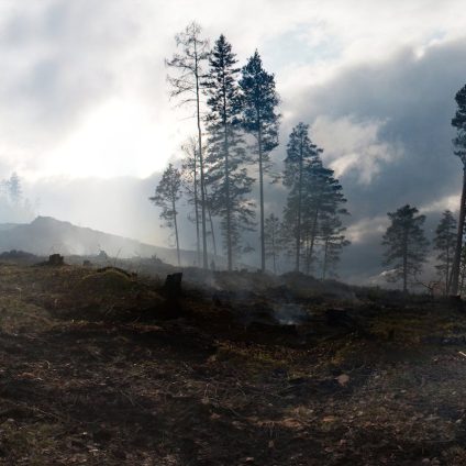 Rinnovabili • Climate Disasters Are Getting More Expensive — But Not Enough to Force Change