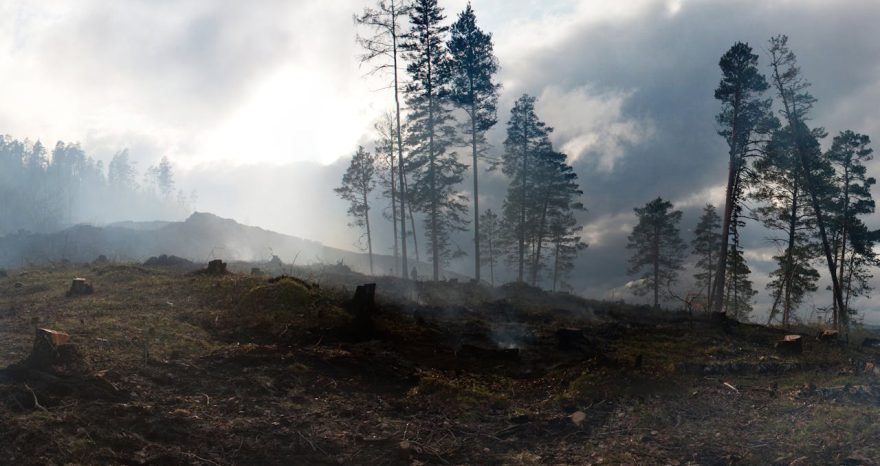 Rinnovabili • Climate Disasters Are Getting More Expensive — But Not Enough to Force Change