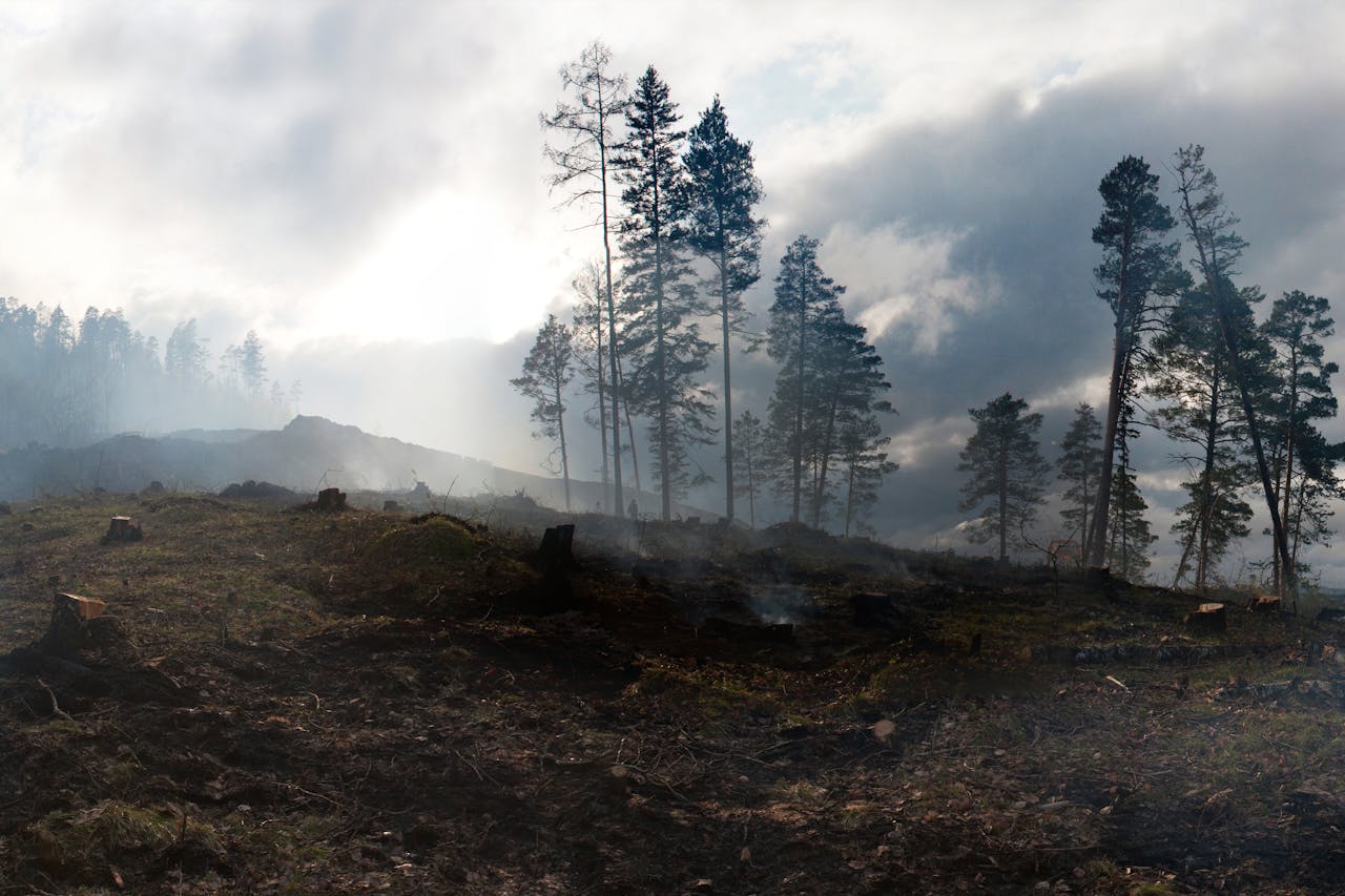 Rinnovabili • Climate Disasters Are Getting More Expensive — But Not Enough to Force Change