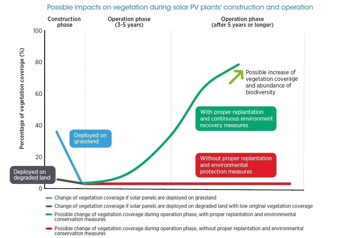 Impacts of photovoltaics in utility-scale solar projects