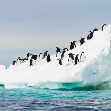 Rinnovabili • Antarctic Peninsula warming risks exceed 5°C by 2100