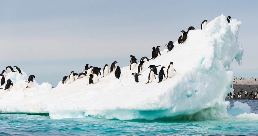 Rinnovabili • Antarctic Peninsula warming risks exceed 5°C by 2100