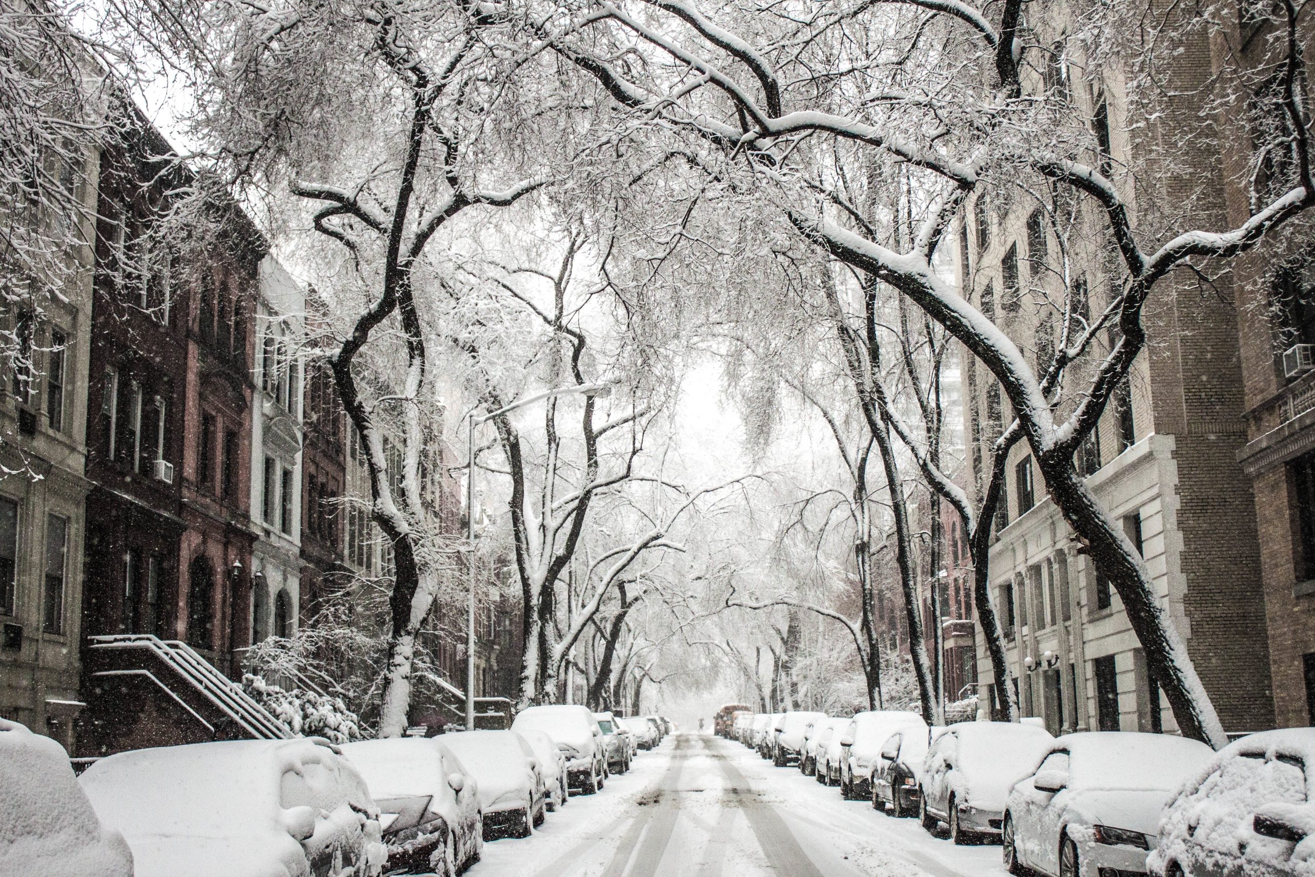 Record Snowfall Tests Grid Resilience in the Northeast