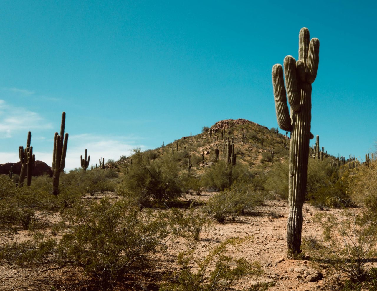 Rinnovabili • US heat wave breaks March record at 110°F (43°C)