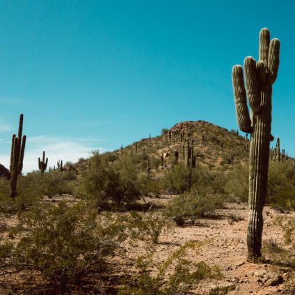 Rinnovabili • US heat wave breaks March record at 110°F (43°C)