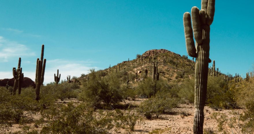 Rinnovabili • US heat wave breaks March record at 110°F (43°C)