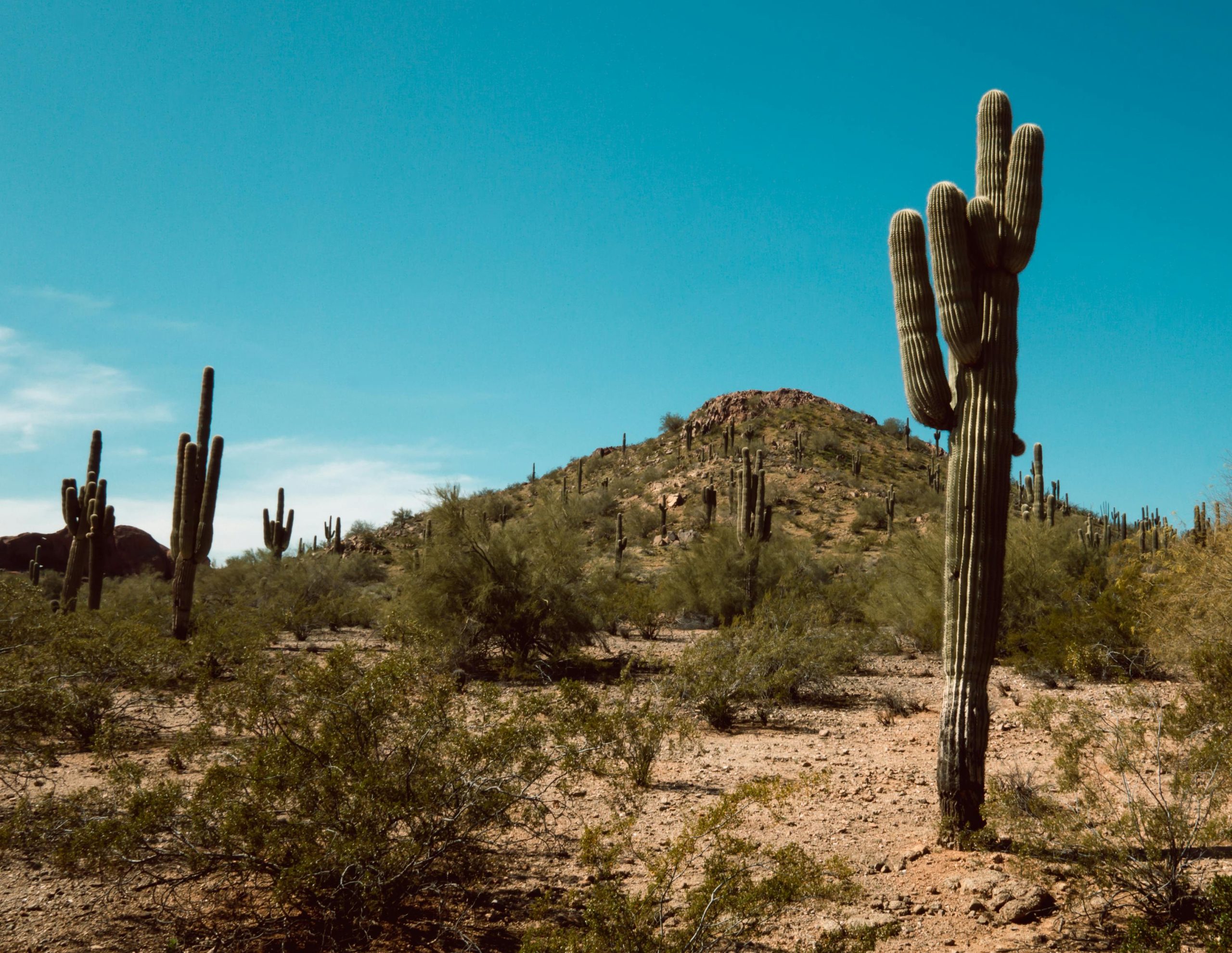 US heat wave breaks March record at 110°F (43°C)