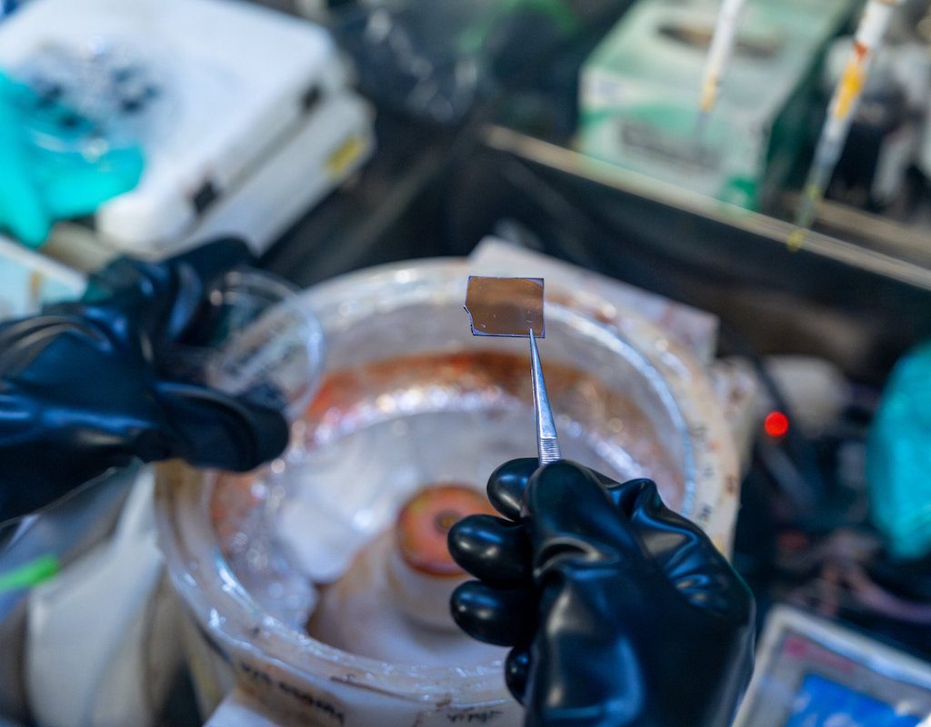 2D perovskites with ideal band gap for tandem photovoltaics