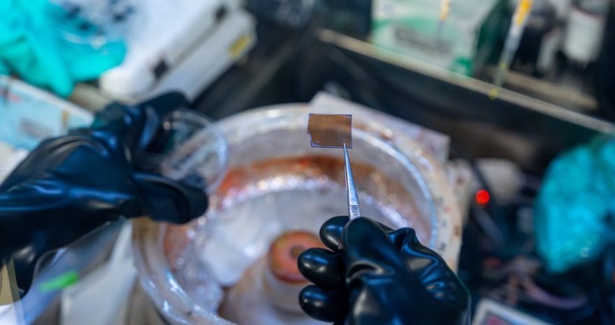 Rinnovabili ⢠2D perovskites with ideal band gap for tandem photovoltaics