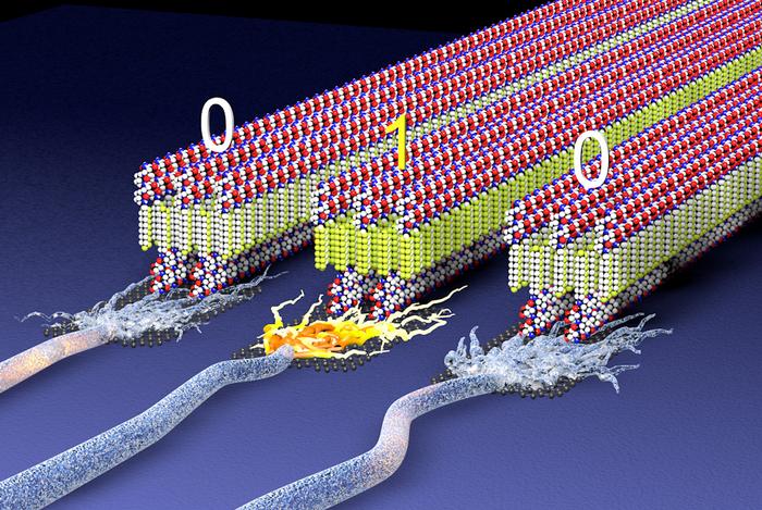 Bioinspired materials mimic cells to store solar energy